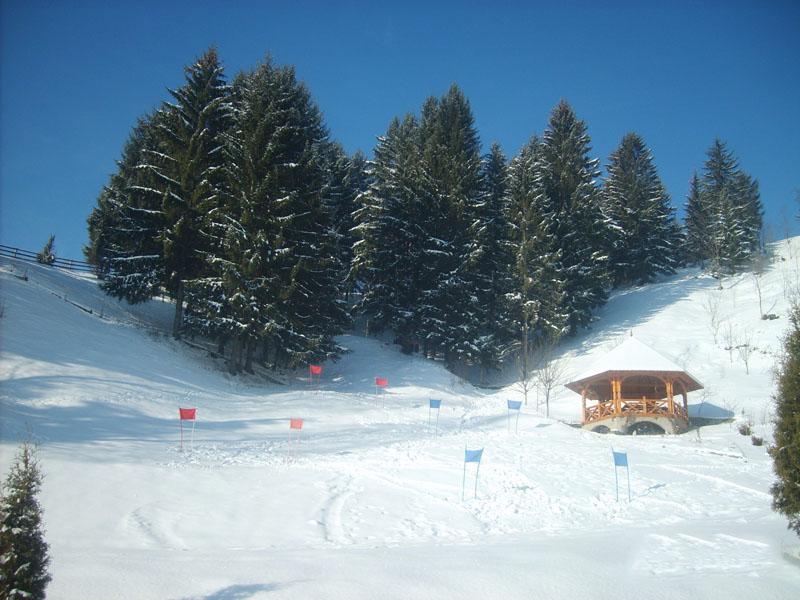 Cazare in Maramures - PENSIUNEA ELADI - Borsa