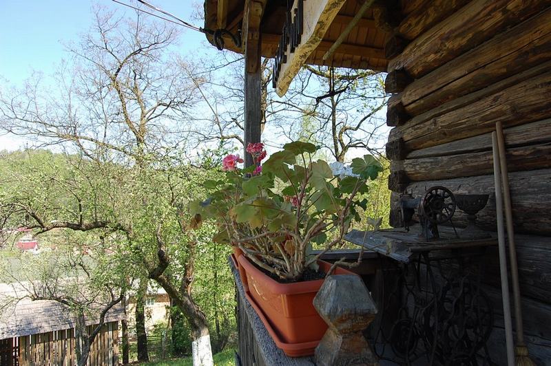 Cazare in Maramures - PENSIUNEA SEKY - Salistea De Sus