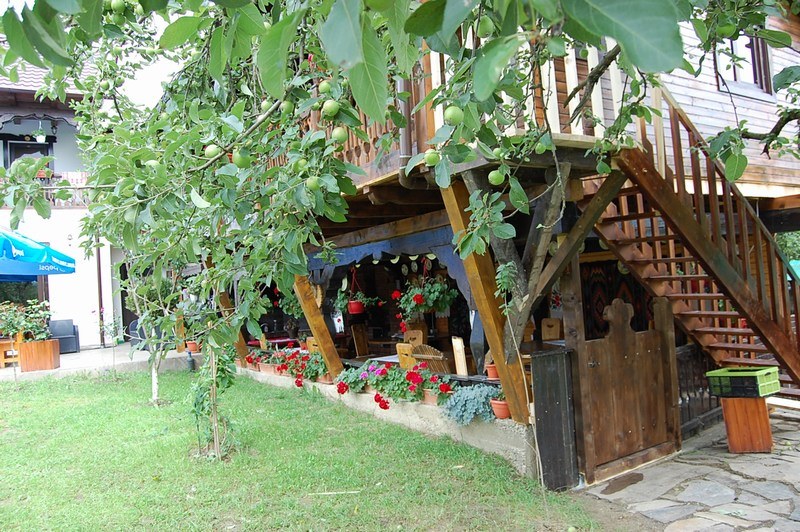 Cazare in Maramures - PENSIUNEA CASA DENISA - Sieu