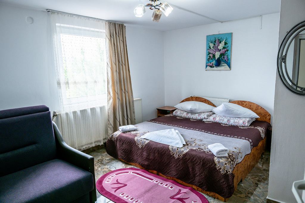 Cazare in Maramures - PENSIUNEA LARISA - Ocna Sugatag