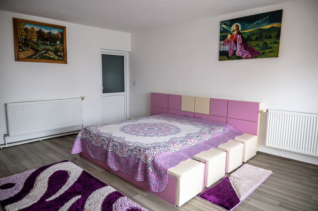 Cazare in Maramures - PENSIUNEA LARISA - Ocna Sugatag
