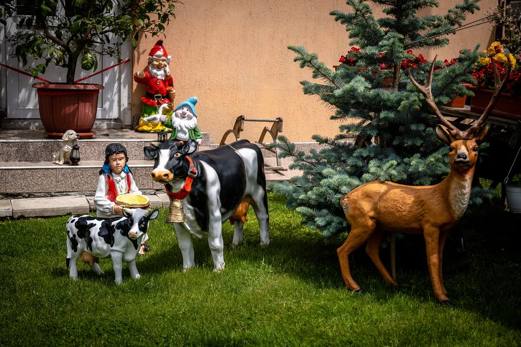 Cazare in Maramures - PENSIUNEA LARISA - Ocna Sugatag