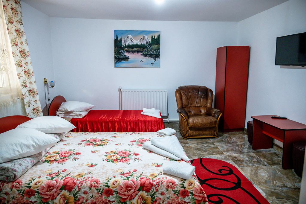 Cazare in Maramures - PENSIUNEA LARISA - Ocna Sugatag